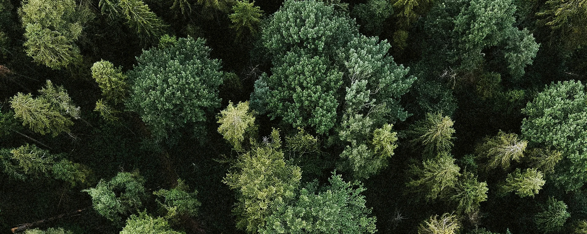 Alpura Retreat: das Familienhotel in Ratschings in Südtirol Alpura Retreat: das Familienhotel in Ratschings in Südtirol